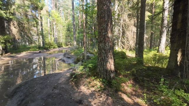 Тарасовское 2026.07.11-13.mp4 смотреть онлайн