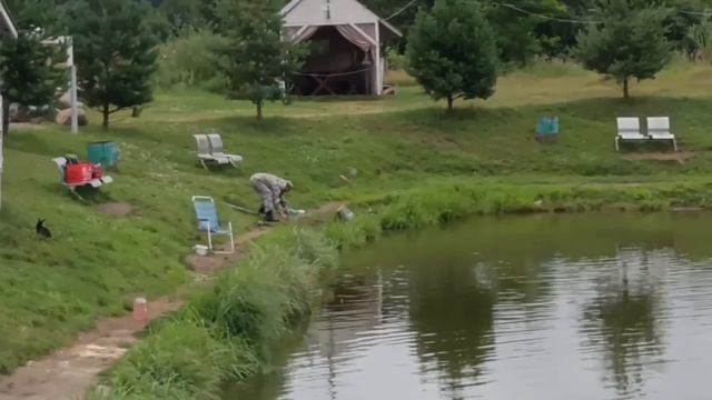 1000158185.mp4 смотреть онлайн