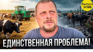 В деревне можно много заработать денег, но есть одна Проблема!
