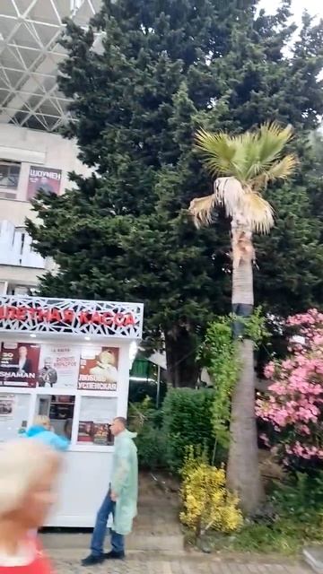 Весточки из Сочи от поклонниц... С благодарностью... Репетиции... смотреть онлайн