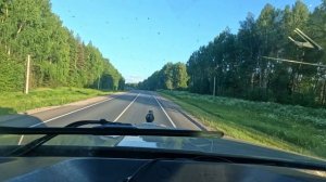 Дальнобой. Кенворт Т-660. РЕЙС НАГОРСК- СОВЕТСКИЙ! Погрузка
