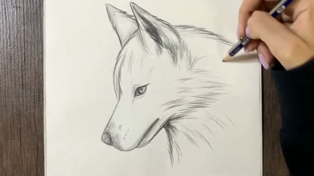 Рисуем профессионально карандашом
