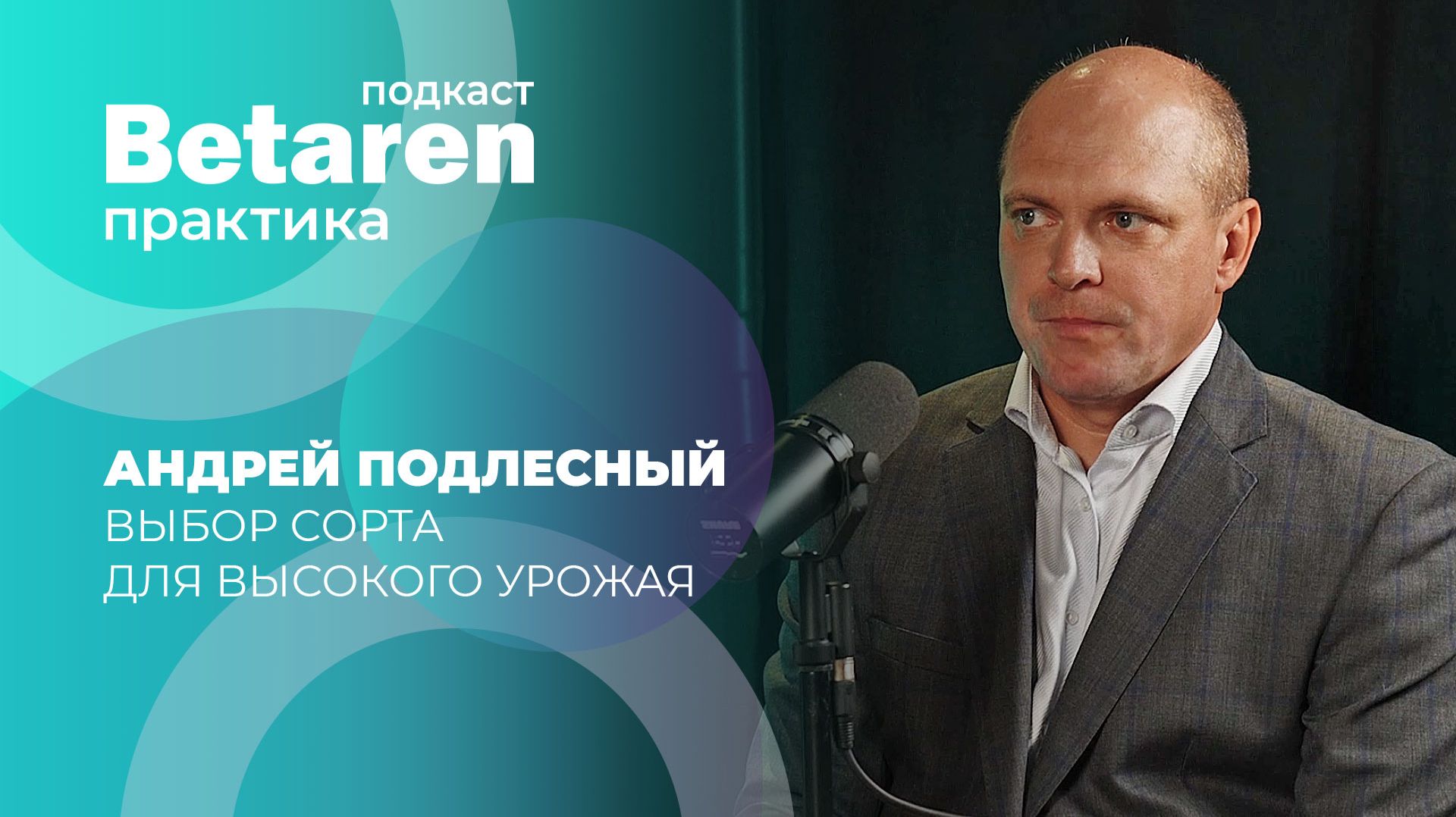 Андрей Подлесный — о сортах озимой пшеницы, рекорде 185 ц/га и специальных предложениях