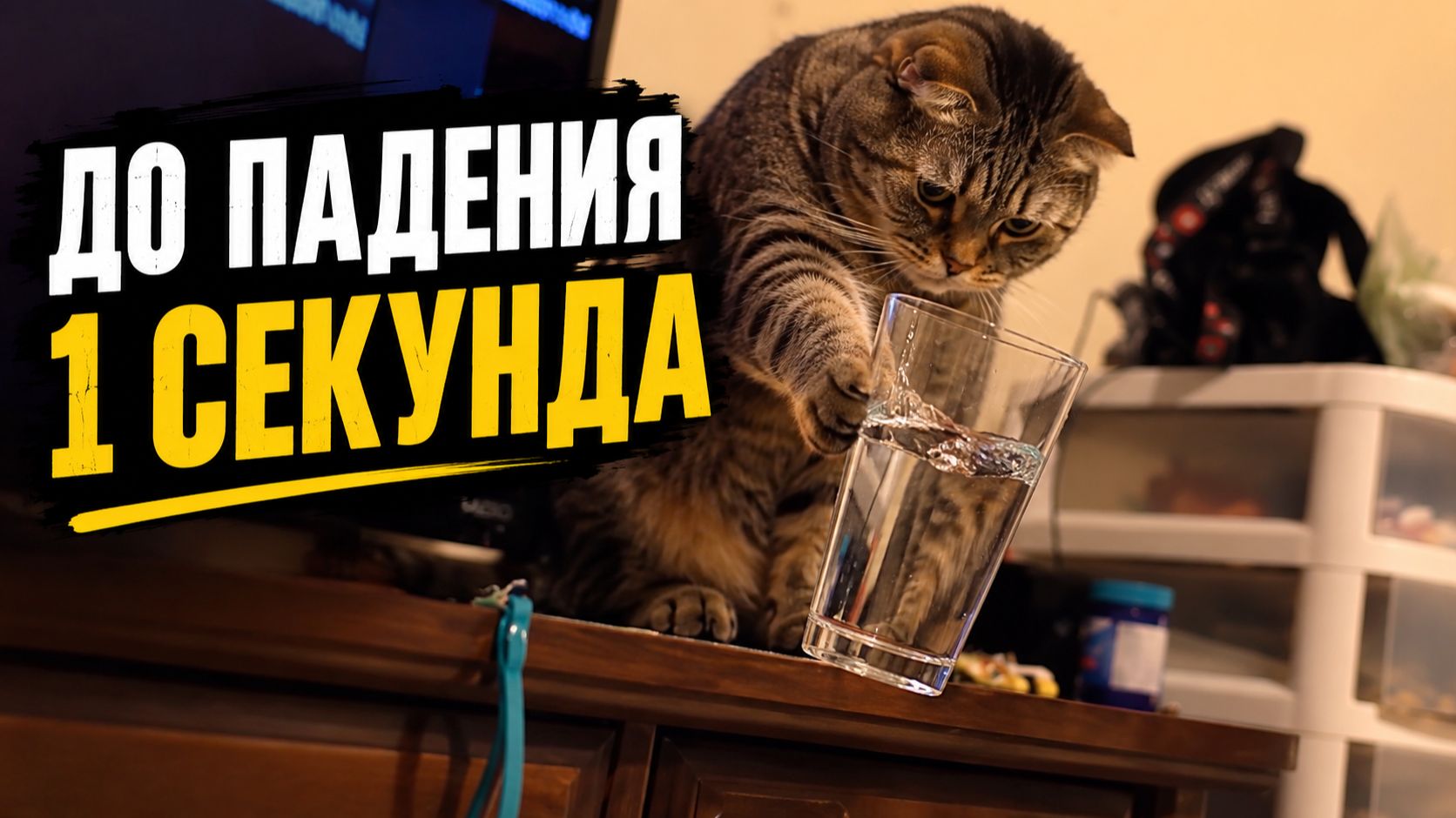 Смех до слёз: лучшие приколы №297 смотреть онлайн