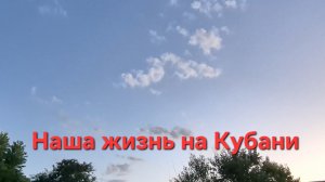 #11 Переезд в Краснодарский край. Огород. Птицы. Жизнь на юге.