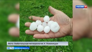 В Яранском районе выпал град размером с перепелиное яйцо