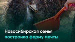 Новосибирская семья построила ферму мечты