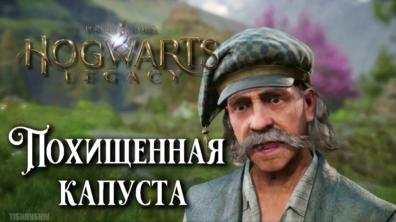 Похищенная капуста. Hogwarts Legacy прохождение. Kidnapped Cabbage