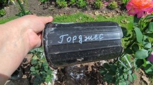 Кто рано встаёт, тому Бог подаёт.
14 июля. Утренний видео привет.