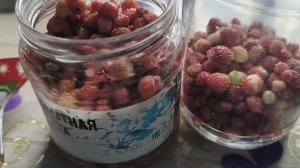 СЕЛЬСКИЕ БУДНИ