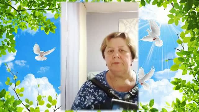 Лирическая песня под гармонь Мы с тобою как птицы