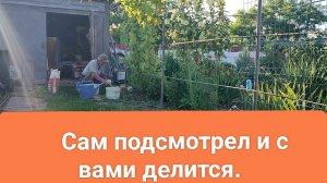 С луком всё. Стройка строится. Всё полила.