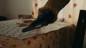 Трейлер сериала «Илья Муровец»