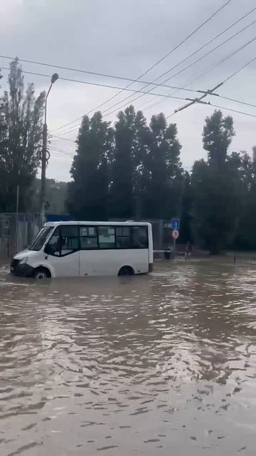 Севастополь, улица Ревякина, 1 14.07.2026