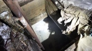 Погибли один за другим, пытаясь спасти друг друга — на Урале целая семья задохнулась в погребе.