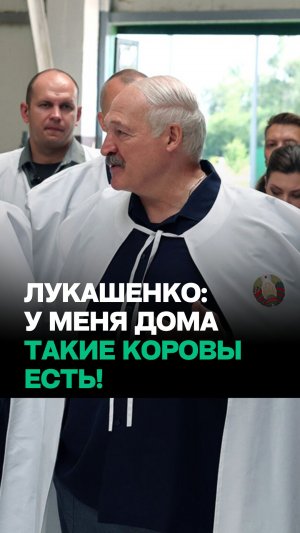 Лукашенко на ферме: У вас как дохли телята в прошлом году, так дохнут!