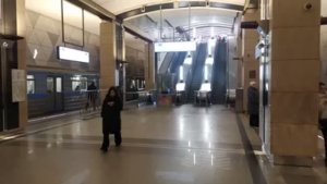 Станция метро Селигерская интерьер, пассажиры, поезд Москва Фрагмент 29