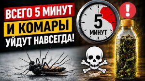 Комары исчезнут за 5 минут! Этот секрет скрывают производители фумигаторов!