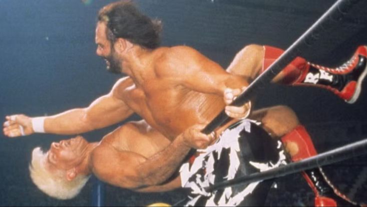 Randy Savage vs Ric Flair (WCW Great American Bash, 1995) смотреть онлайн