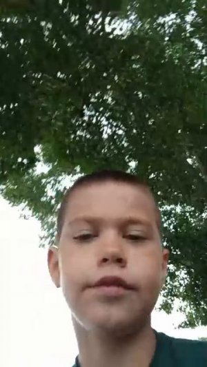 сд