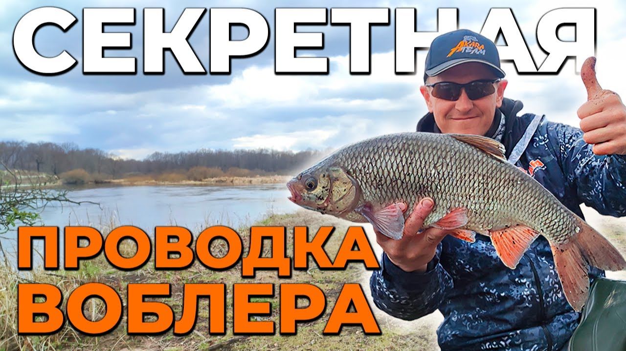 трофей!ЯЗЬ!Секретная проводка воблера смотреть онлайн