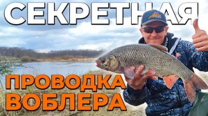 трофей!ЯЗЬ!Секретная проводка воблера
