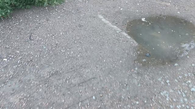 Традиционные анекдоты