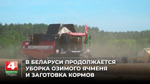 В Беларуси продолжается уборка озимого ячменя и заготовка кормов