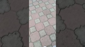 Очень длинный ВЛОГ...