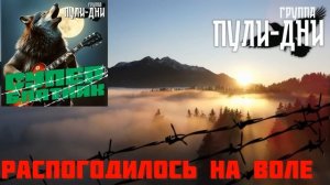 Группа Пули Дни - СУПЕР БЛАТНЯК. 30 ЛУЧШИХ ПЕСЕН