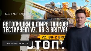 EviL GrannY ★ АВТОПУШКИ В МИРЕ ТАНКОВ! ТЕСТИРУЕМ VZ. 68-3 BRITVA!