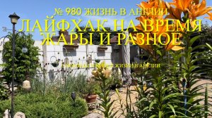 Как спастись от жары без кондиционера. Мой лайфхак. Разное. № 980 Жизнь в Англии