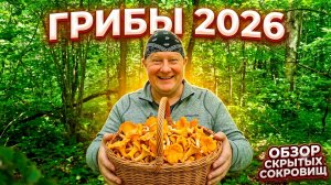 ГРИБЫ ПОДМОСКОВЬЯ  2026👌ЧТО удалось НАЙТИ🍄🍄🍄