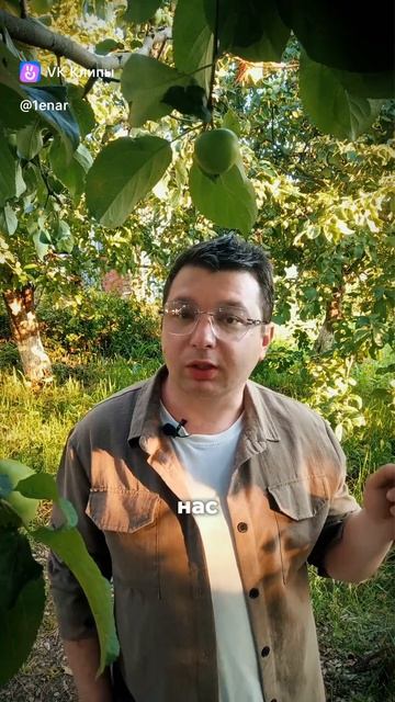 Фермер должен заниматься производством, а сбыт мы возьмем на себя