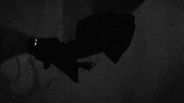 Ghost Brigade - Clawmaster смотреть онлайн