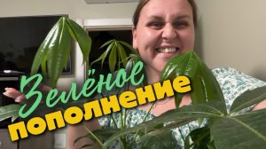 А у нас пополнение🌴