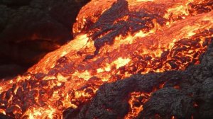 Один из миллиарда моментов в природе снятые на камеру.