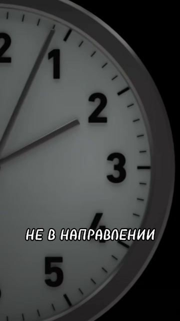 5 ИНСТРУМЕНТОВ КОТОРЫЕ ЗАМЕНЯТ ТЕБЕ ДИСЦИПЛИНУ
