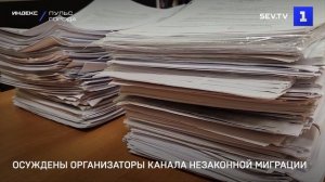 Осуждены организаторы канала незаконной миграции
