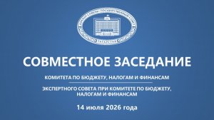 14.07.26 Заседания Комитета по бюджету, налогам и финансам
