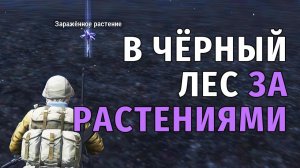 Stay Out | 185. В Чёрный Лес за Растениями и немного Карьера
