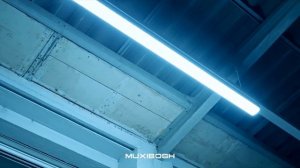 MUXIBOSH - Emotion (Original Mix)