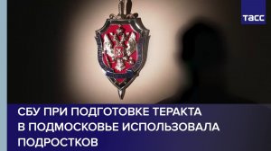СБУ при подготовке теракта в Подмосковье использовала подростков