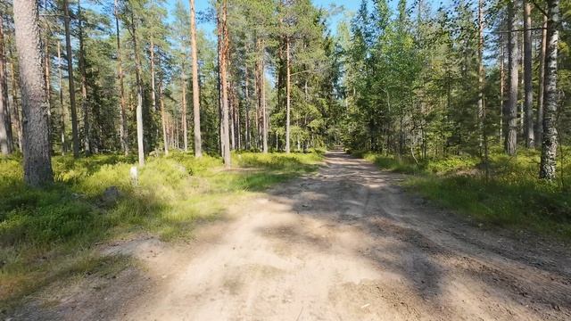 Тарасовское 2026.07.11-14.mp4 смотреть онлайн