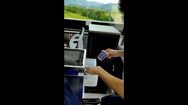 автобус Кутаиси - Батуми смотреть онлайн