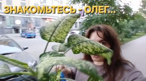 ЗАБРАЛА ОЛЕГА ДОМОЙ🪴ТЕПЕРЬ МЫ ВМЕСТЕ🪴Я СЕРДОБОЛЬНЫЙ ЧЕЛОВЕК♥️