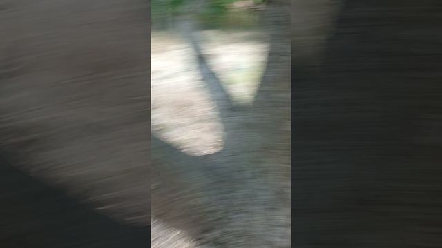село