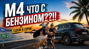 Четверо в Тигуане, не считая собаки | Трасса М4 | Проблемы с бензином ?! Едем в Сочи 2026