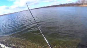 Фидерная рыбалка🐟🐟🐟  ловля КАРАСЯ на ФЛЭТ метод