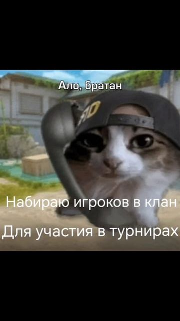 Киберспорт